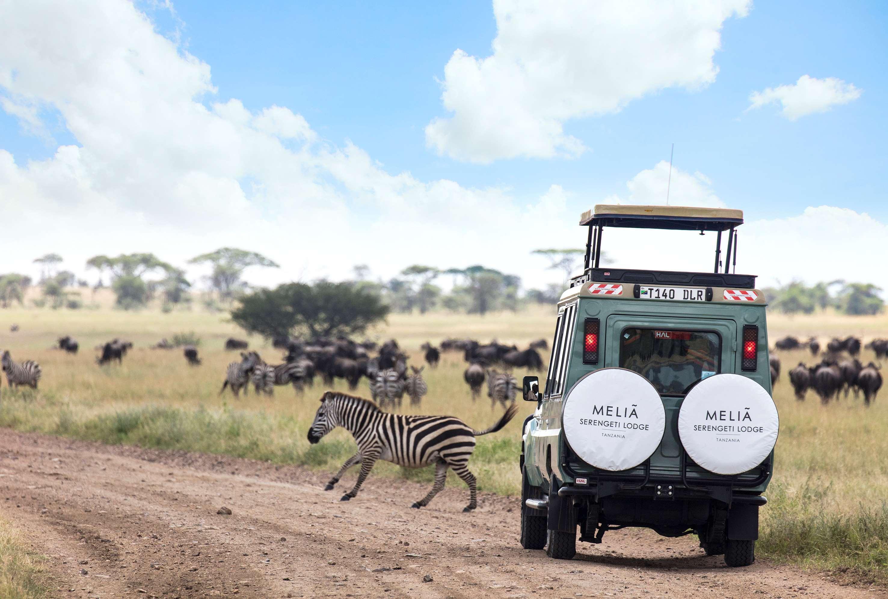 Melia Serengeti Lodge Member Of Melia Collection Εξωτερικό φωτογραφία